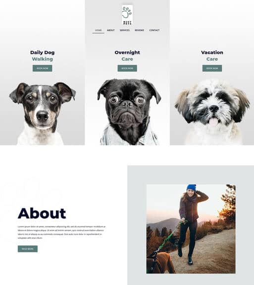 Dog Walking Website Design