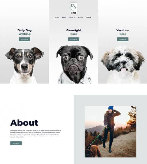 Busy Pets Pet Business Web Design