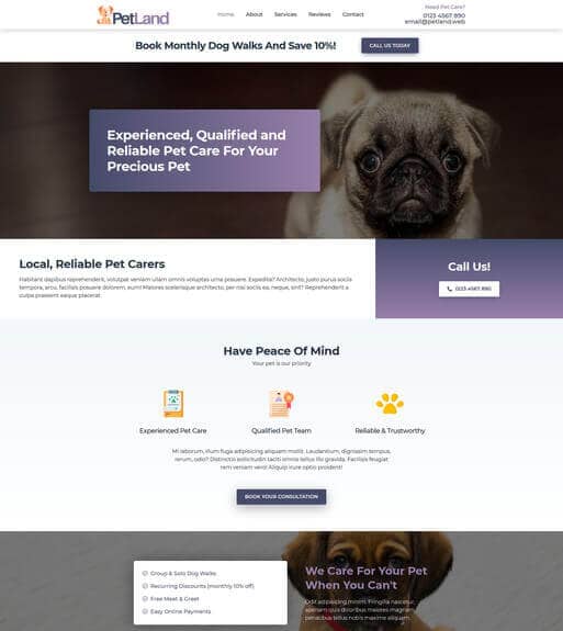Dog Walking Web Design WordPress